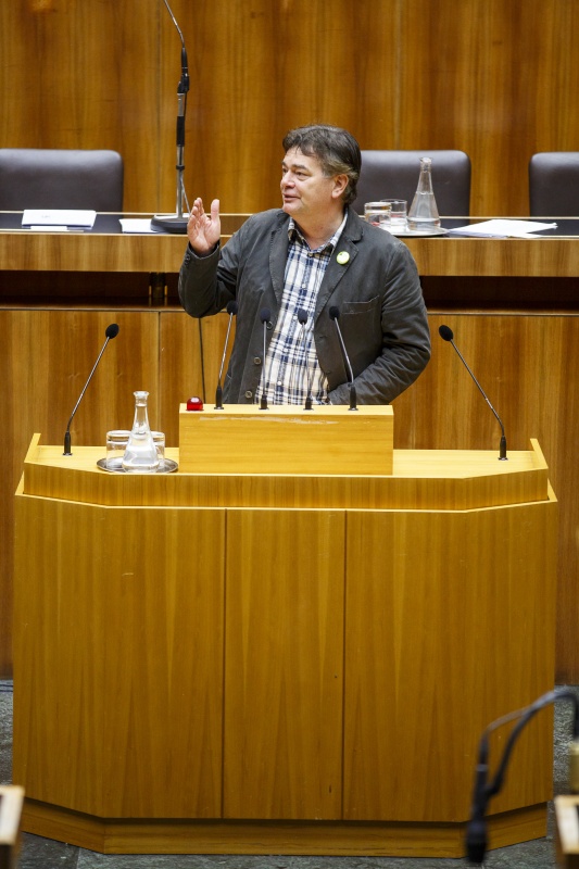 Nationalratsabgeordneter Werner Kogler (G) am Rednerpult