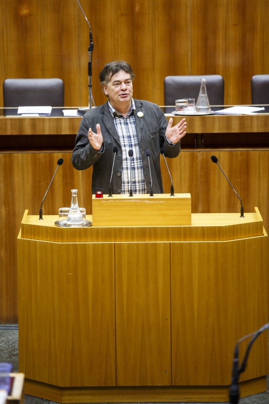 Nationalratsabgeordneter Werner Kogler (G) am Rednerpult
