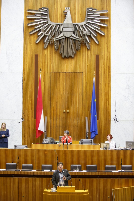 Nationalratsabgeordneter Werner Kogler (G) am Rednerpult. Am Präsidium Nationalratspräsidentin Barbara Prammer (S)