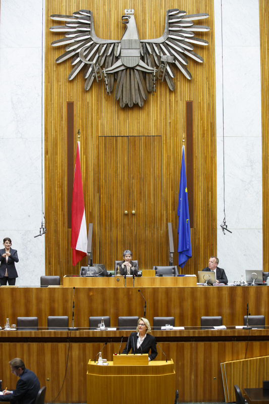 Nationalratsabgeordnete Jessi Lintl (T) am Rednerpult. Am Präsidium Nationalratspräsidentin Barbara Prammer (S)
