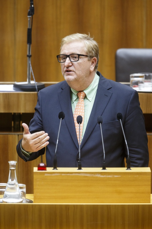 Nationalratsabgeordneter Christoph Matznetter (S) am Rednerpult