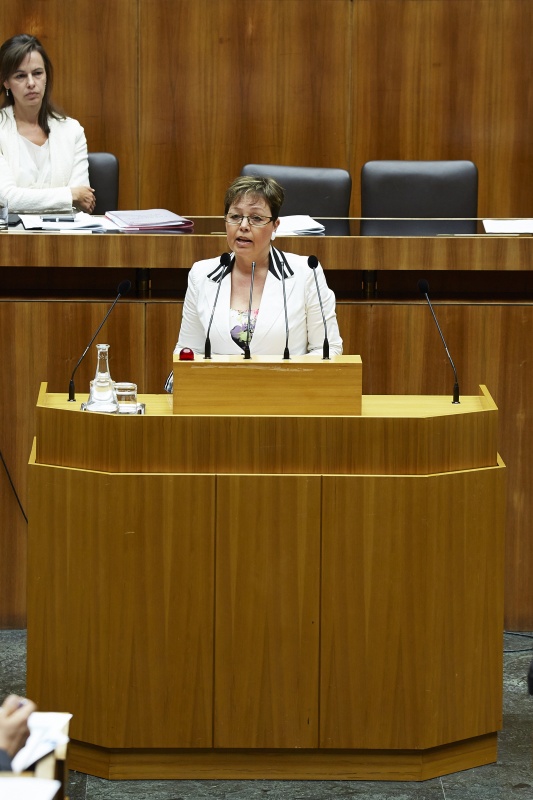 Nationalratsabgeordnete Claudia Durchschlag (V) am Rednerpult. Im Hintergrund auf der Regierungsbank Familienministerin Sophie Karmasin (V).