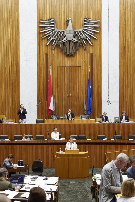 Nationalratsabgeordnete Claudia Durchschlag (V) am Rednerpult. Im Hintergrund auf der Regierungsbank Familienministerin Sophie Karmasin (V). Am Präsidium Zweiter Nationalratspräsident Karlheinz Kopf (V)