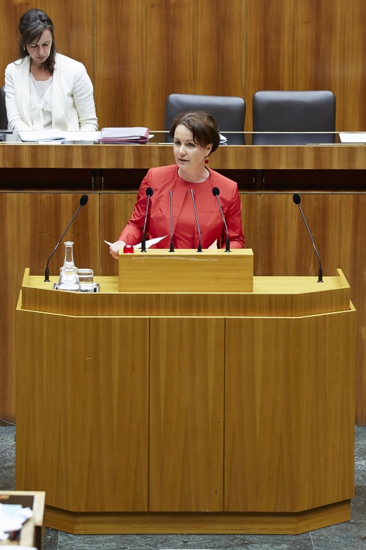 Nationalratsabgeordnete Cornelia Ecker (S) am Rednerpult. Im Hintergrund auf der Regierungsbank Familienministerin Sophie Karmasin (V).