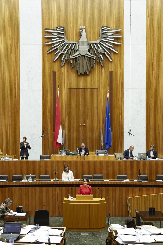 Nationalratsabgeordnete Cornelia Ecker (S) am Rednerpult. Im Hintergrund auf der Regierungsbank Familienministerin Sophie Karmasin (V). Am Präsidium Zweiter Nationalratspräsident Karlheinz Kopf (V).