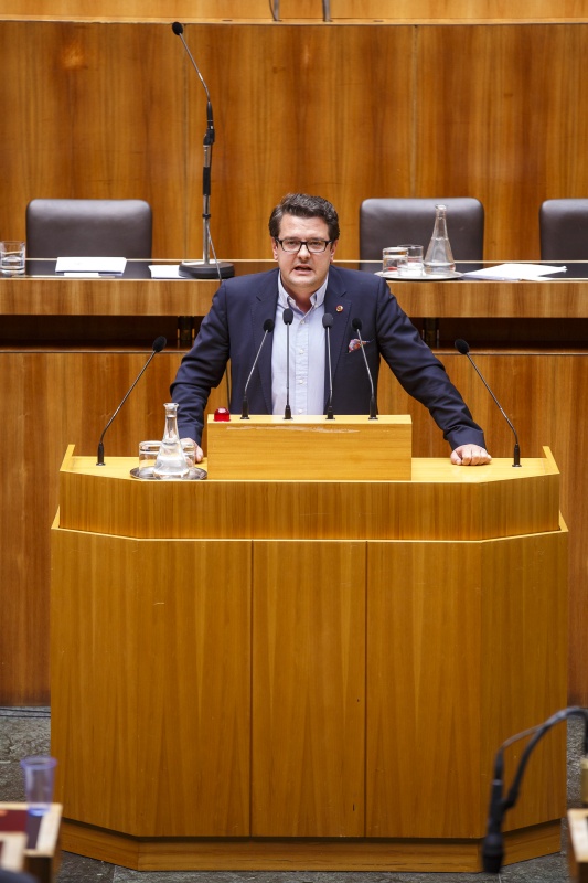 Nationalratsabgeordneter Wendelin Moelzer (F) am Rednerpult