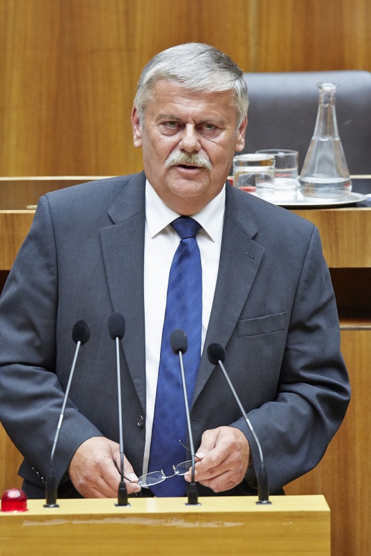 Nationalratsabgeordneter Heinz-Peter Hackl (F) am Rednerpult