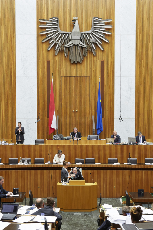 Nationalratsabgeordneter Franz-Joseph Huainigg (V) am Rednerpult. Im Hintergrund auf der Regierungsbank Familienministerin Sophie Karmasin (V). Am Präsidium Zweiter Nationalratspräsident Karlheinz Kopf (V)
