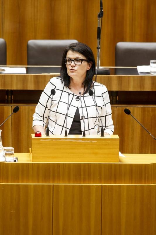 Nationalratsabgeordnete Elisabeth Pfurtscheller (V) am Rednerpult