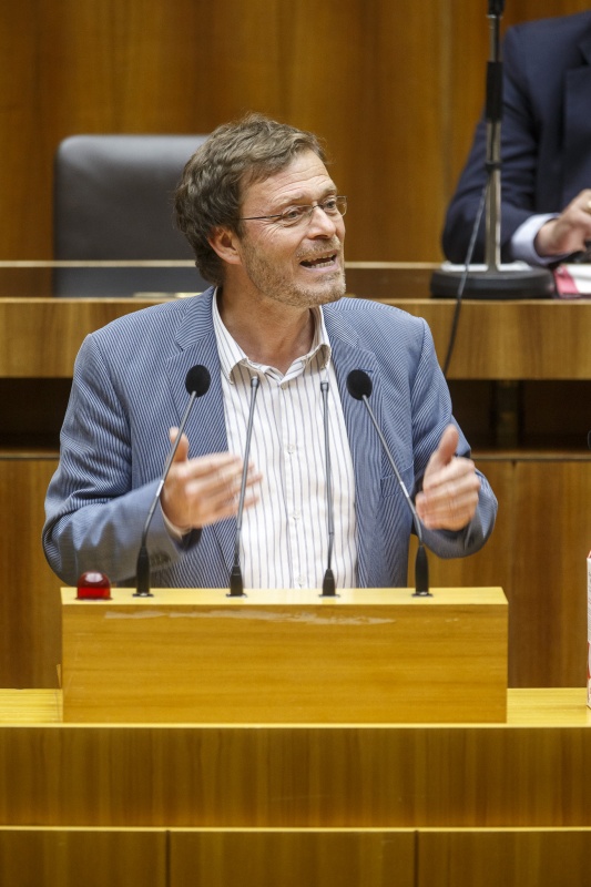 Nationalratsabgeordneter Wolfgang Pirklhuber (G) am Rednerpult