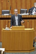 Nationalratsabgeordneter Dieter Brosz (G) am Rednerpult