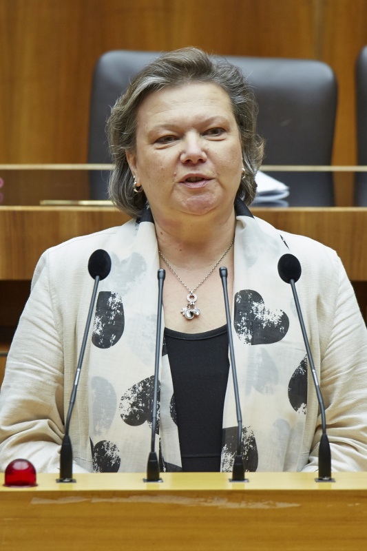 Nationalratsabgeordnete Anneliese Kitzmüller (F) am Rednerpult