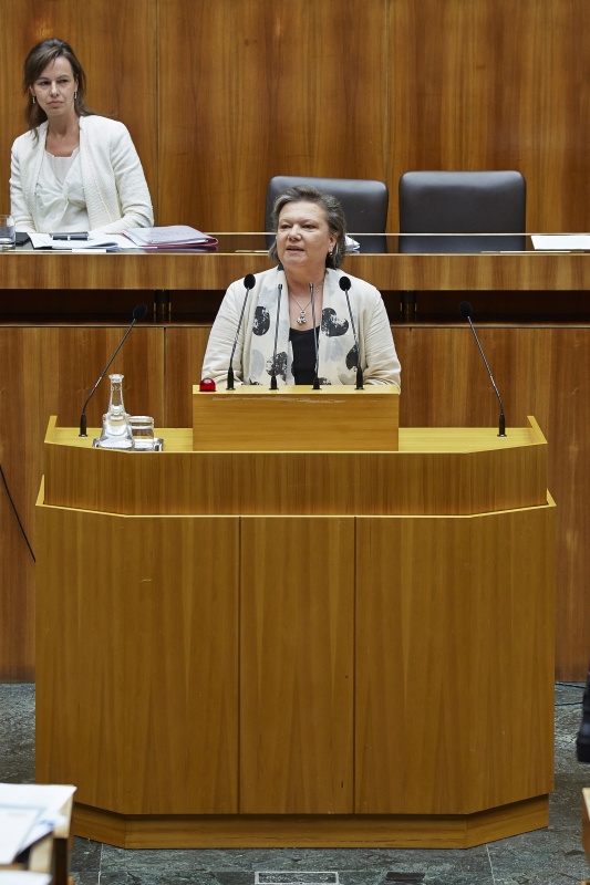 Nationalratsabgeordnete Anneliese Kitzmüller (F) am Rednerpult. Im Hintergrund auf der Regierungsbank Familienministerin Sophie Karmasin (V)