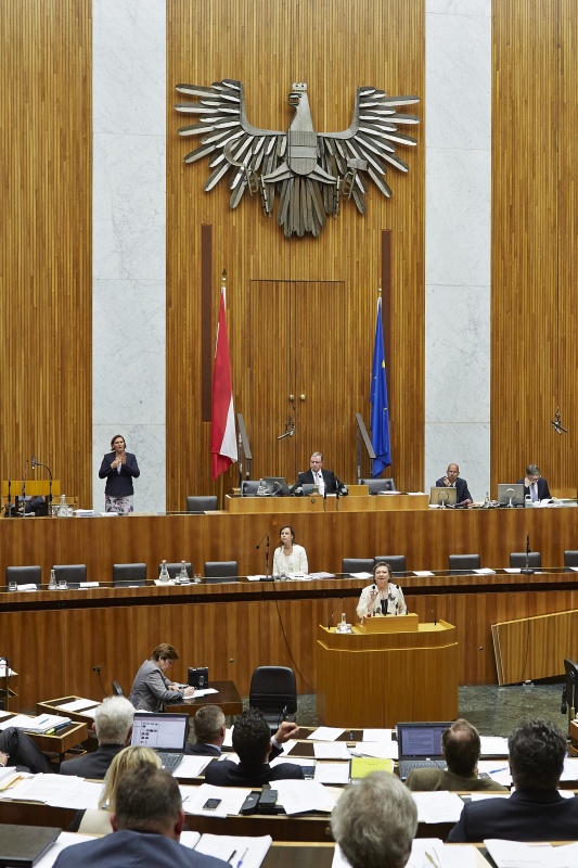 Nationalratsabgeordnete Anneliese Kitzmüller (F) am Rednerpult. Im Hintergrund auf der Regierungsbank Familienministerin Sophie Karmasin (V). Am Präsidium Zweiter Nationalratspräsident Karlheinz Kopf (V)