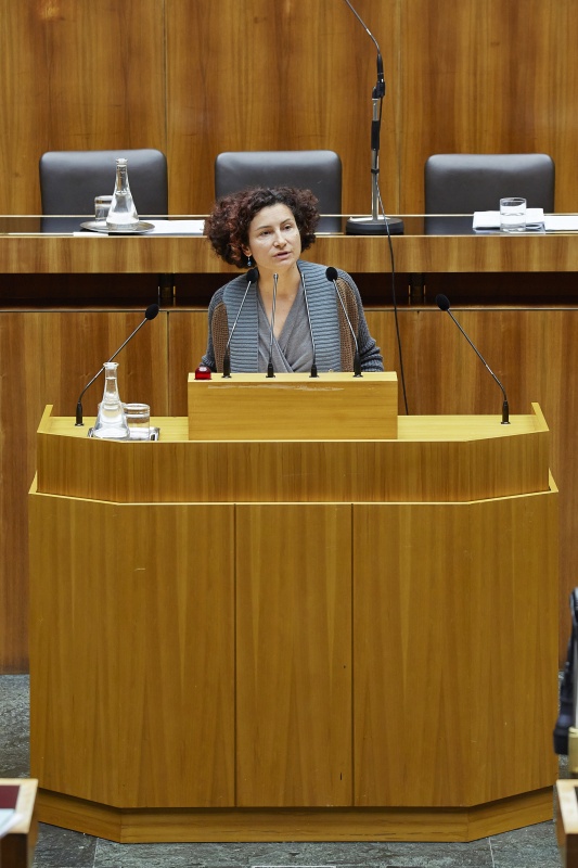 Nationalratsabgeordnete Alev Korun (G) am Rednerpult