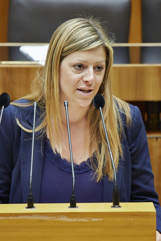 Nationalratsabgeordnete Katharina Kucharowits (S) am Rednerpult