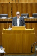 Nationalratsabgeordneter Erwin Preiner (S) am Rednerpult