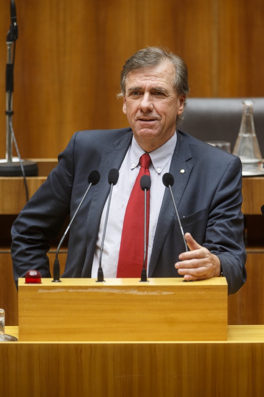 Nationalratsabgeordneter Erwin Rasinger (V) am Rednerpult