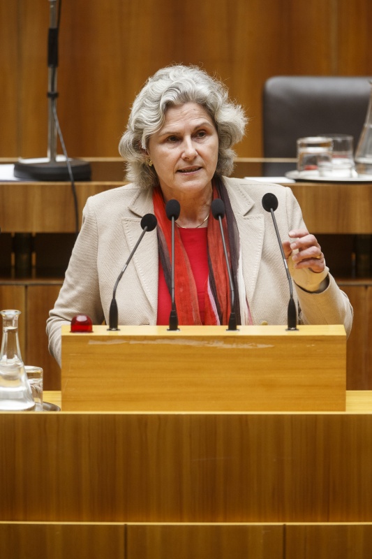 Nationalratsabgeordnete Barbara Rosenkranz (F) am Rednerpult