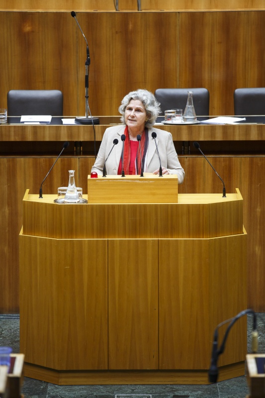 Nationalratsabgeordnete Barbara Rosenkranz (F) am Rednerpult