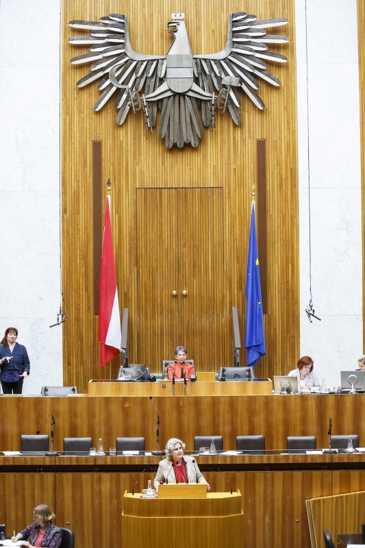 Nationalratsabgeordnete Barbara Rosenkranz (F) am Rednerpult. Am Präsidium Nationalratspräsidentin Barbara Prammer (S)