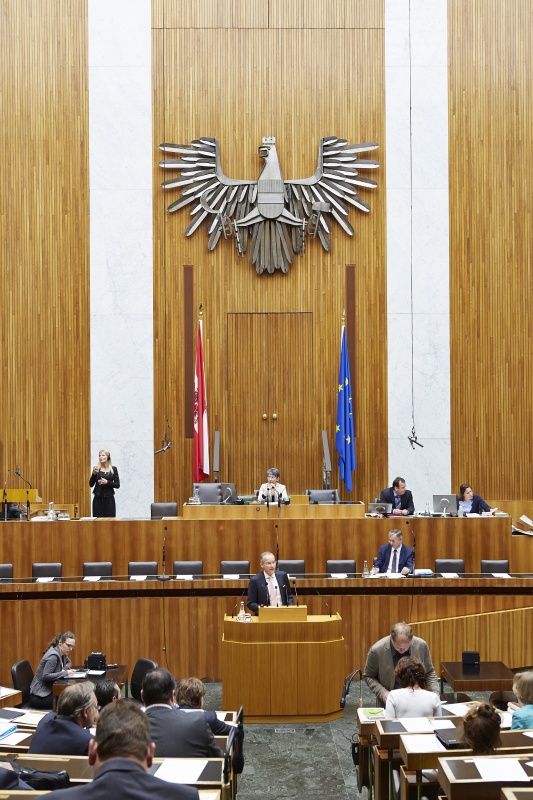 Nationalratsabgeordneter Marcus Franz am Rednerpult. Auf der Regierungsbank Gesundheitsminister Alois Stöger. Am Präsidium Nationalratspräsidentin Barbara Prammer (S)