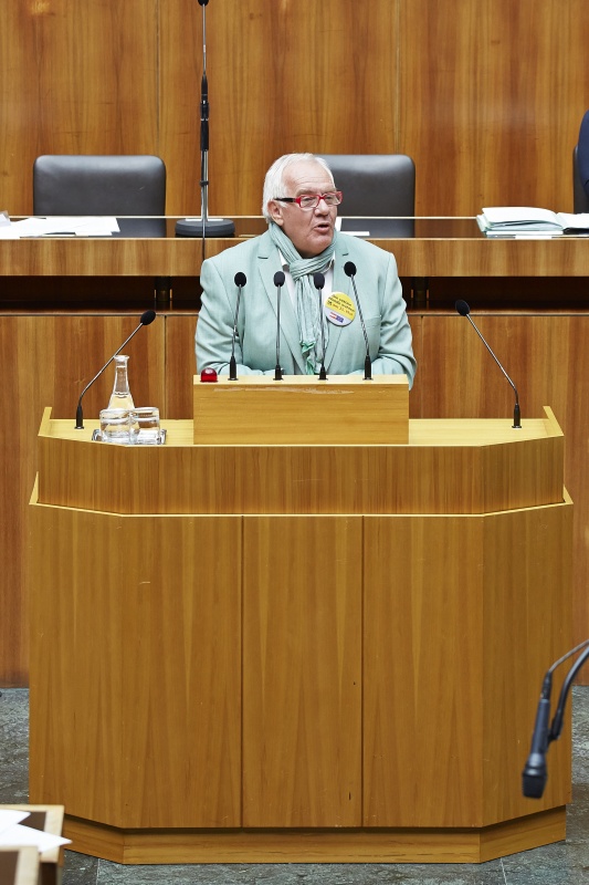 Nationalratsabgeordneter Anton Heinzl (S) am Rednerpult