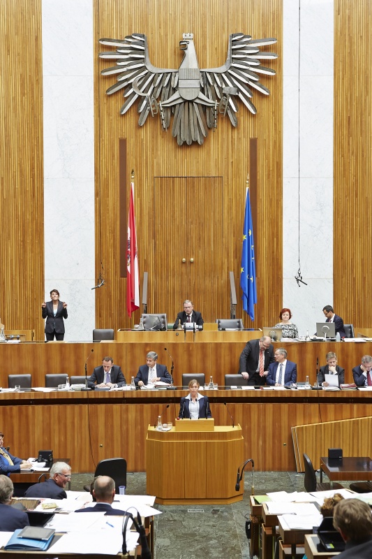 Nationalratsabgeordnete Beatrix Karl (V) am Rednerpult. Im Hintergrund auf der Reigerungsbank Staatssekretär Jochen Danninger (V), Finanzminister Michael Spindelegger (V), Justizminister Wolfgang Brandstetter (V), Gesundheitsminister Alois Stöger (S), Kulturminister Josef Ostermayer und Landwirtschaftsminister Andrä Rupprechter (V)