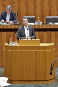 Nationalratsabgeordneter Herbert Kickl (F) am Rednerpult. Im Hintergrund auf der Regierungsbank Finanzminister  Michael Spindelegger (V)