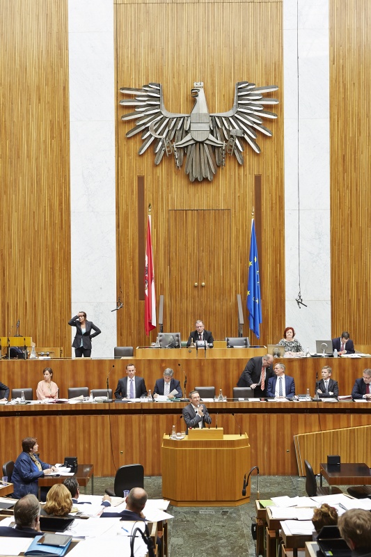 Nationalratsabgeordneter Herbert Kickl (F) am Rednerpult. Im Hintergrund auf der Regierungsbank Rechnungshofpräsident Josef Moser, Familienministerin Sophie Karmasin (V), Staatssekretär Jochen Danninger, Finanzminister Michael Sprindelegger, Justitminister Wolfgang Brandstetter (V), Gesundheitsminister Alois Stöger S), Kulturminister Josef Osermayer (S) und Landiwrtschaftsminister Andrä Rupprechter (V). Am Präsidium Zweiter Nationalratspräsident Karlheinz Kopf (V)