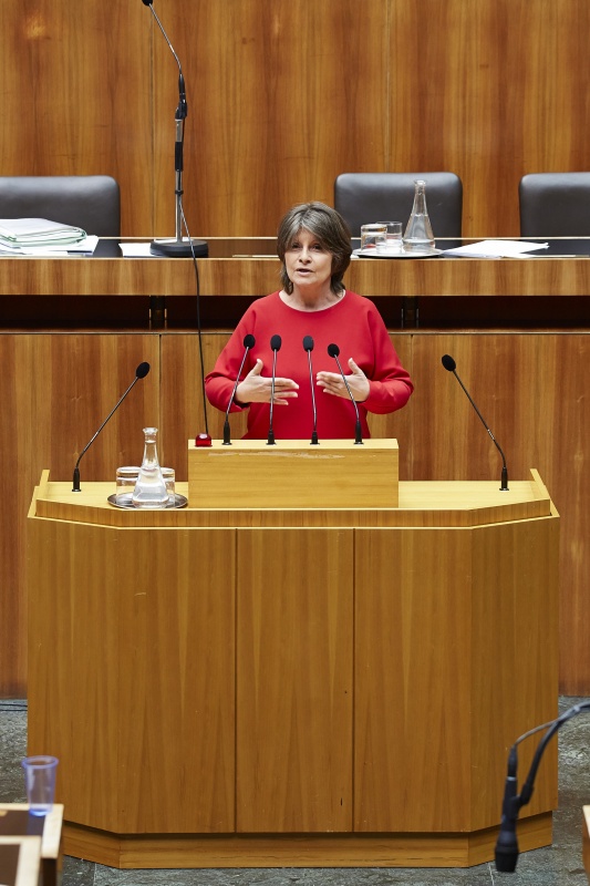 Nationalratsabgeordnete Andrea Kuntzl (S) am Rednerpult