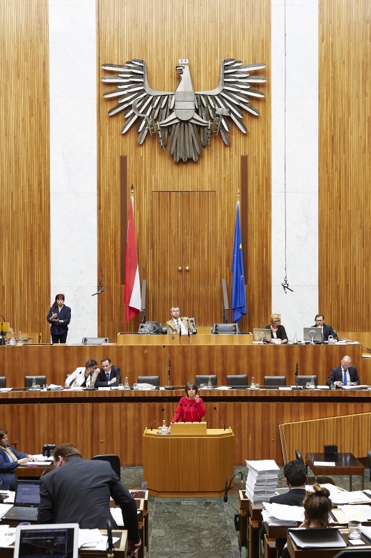 Nationalratsabgeordnete Andrea Kuntzl (S) am Rednerpult. Im Hintergrund auf der Regierungsbank Innenministerin Johanna Mikl-Leitner, Staatssekretär Jochen Danninger und Verteidigungsminsiter Gerald Klug (S). Am Präsidium Dritter Nationalratspräsident Norbert Hofer (F)