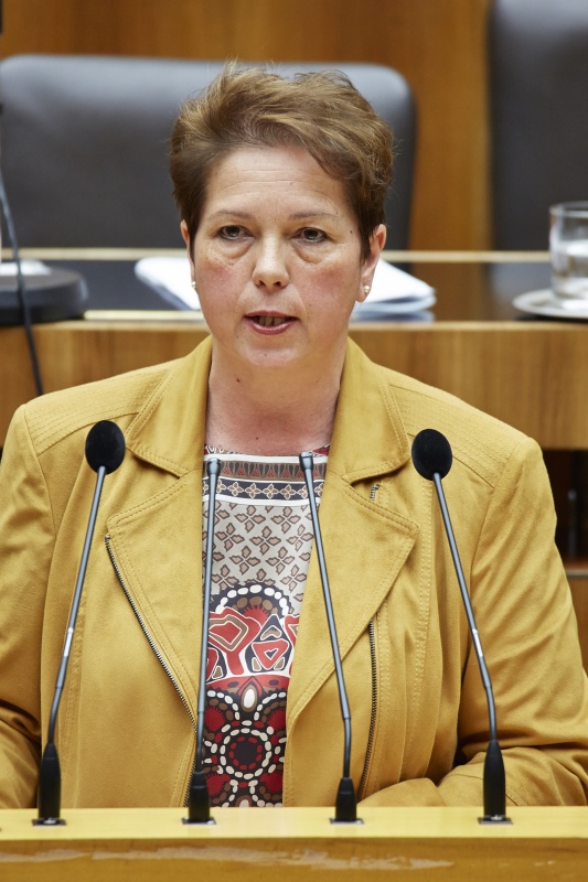 Nationalratsabgeordnete Angela Lueger (S) am Rednerpult