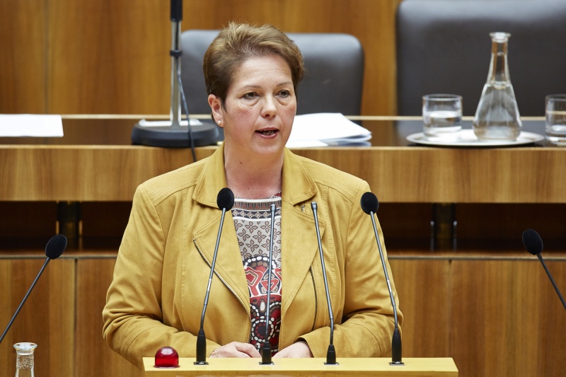 Nationalratsabgeordnete Angela Lueger (S) am Rednerpult