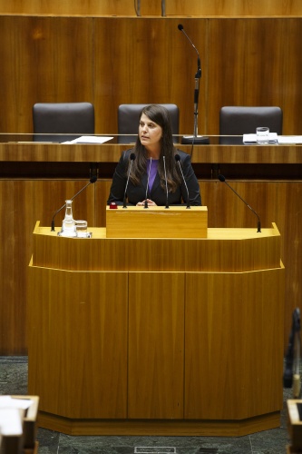 Nationalratsabgeordnete Martina Schenk (T) am Rednerpult