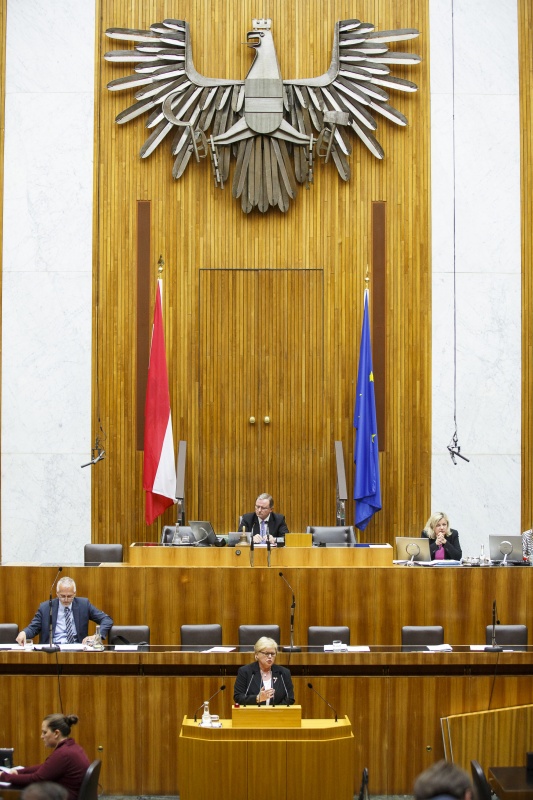 Nationalratsabgeordnete Dorothea Schittenhelm (V) am Rednerpult. Im Hintergrund auf der Regierungsbank Rechnungshofpräsident Josef Moser. Am Präsidium Zweiter Nationalratspräsident Karlheinz Kopf (V)