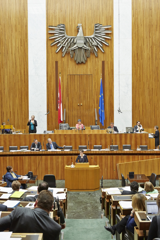 Nationalratsabgeordnete Sigrid Maurer (G) am Rednerpult. Auf der Regierungsbank v.li.: Staatssekretär Jochen Danninger (V) und Wirtschaftsminister Reinhold Mitterlehner (V), Am Präsidium Nationalratspräsidentin Barbara Prammer (S)