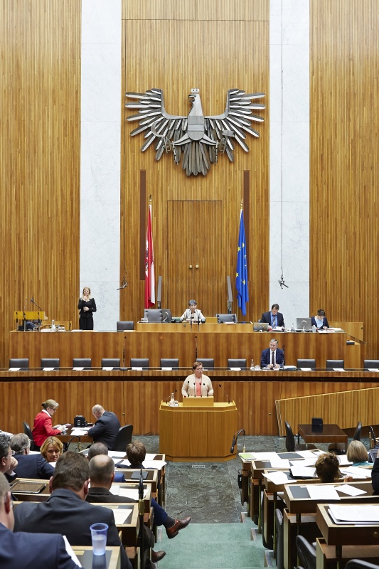 Nationalratsabgeordnete Sabine Oberhauser (S) am Rednerpult. Auf der Regierungsbank Gesundheitsminister Alois Stöger (S). Am Präsidium Nationalratspräsidentin Barbara Prammer (S).