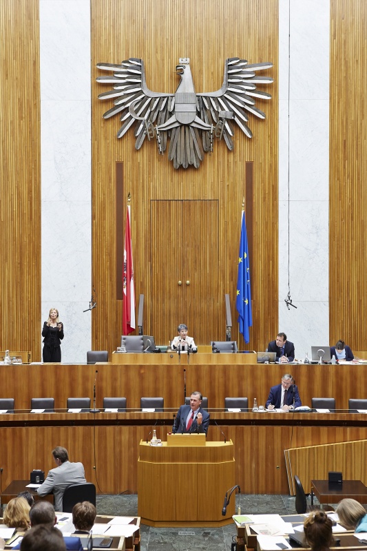 Nationalratsabgeordneter Erwin Rasinger (V) am RednerpultAuf der Regierungsbank Gesundheitsminister Alois Stöger (S). Am Präsidium Nationalratspräsidentin Barbara Prammer (S).