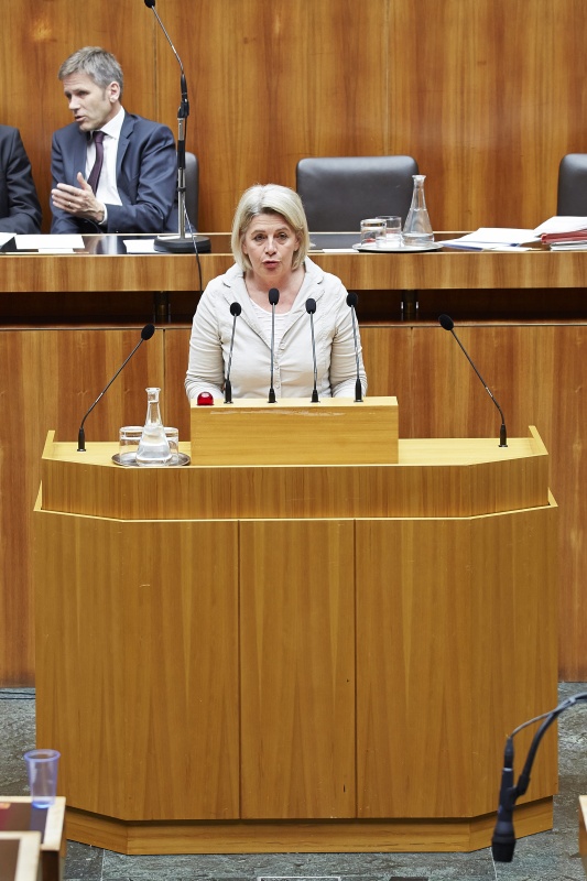 Nationalratsabgeordnete Eva Mückstein (G) am Rednerpult. Im Hintergrund auf der Regierungsbank Kulturminister Josef Ostermayer (S).