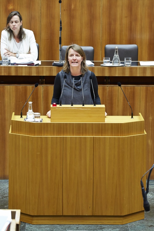 Nationalratsabgeordnete Daniela Musiol (G) am Rednerpult. Im Hintergrund auf der Regierungsbank Familienministerin Sophie Karmasin (V).