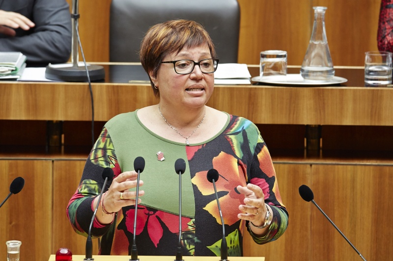 Nationalratsabgeordnete Sabine Oberhauser (S) am Rednerpult