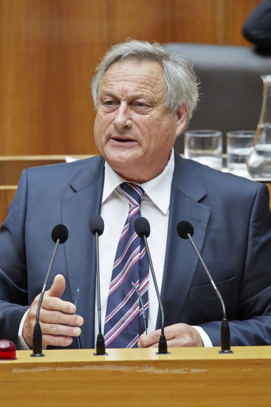 Nationalratsabgeordneter Josef Riemer (F) am Rednerpult