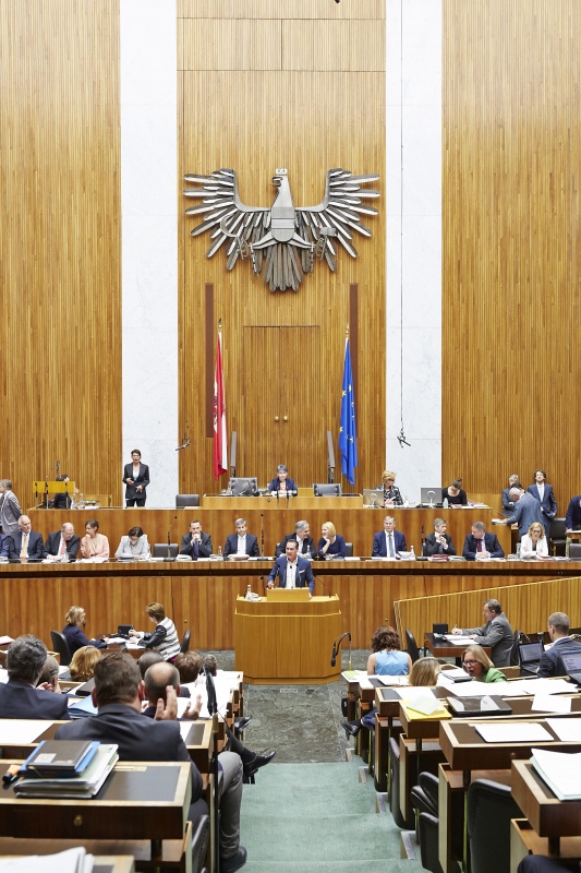 Klubobmann Heinz-Christian Strache (F) am Rednerpult. Auf der Regierungsbank v.li.: Rechnungshofpräsident Josef Moser, Justizminister Wolfgang Brandstetter (V), Familienministerin Sophie Karmasin (V), Innenministerin Johanna Mikl-Leitner (V), Staatssekretär Jochen Danninger (V), Finanzminister Michael Spindelegger (V), Bundeskanzler Werner Faymann (S), Verkehrsministerin Doris Bures (S), Gesundheitsminister Alois Stöger (S), Kulturminister Josef Ostermayer (S), Landwirtschaftsminister Andrä Rupprechter (V), Staatssekretärin Sonja Steßl (V). Am Präsidium Nationalratspräsidentin Barbara Prammer (S)