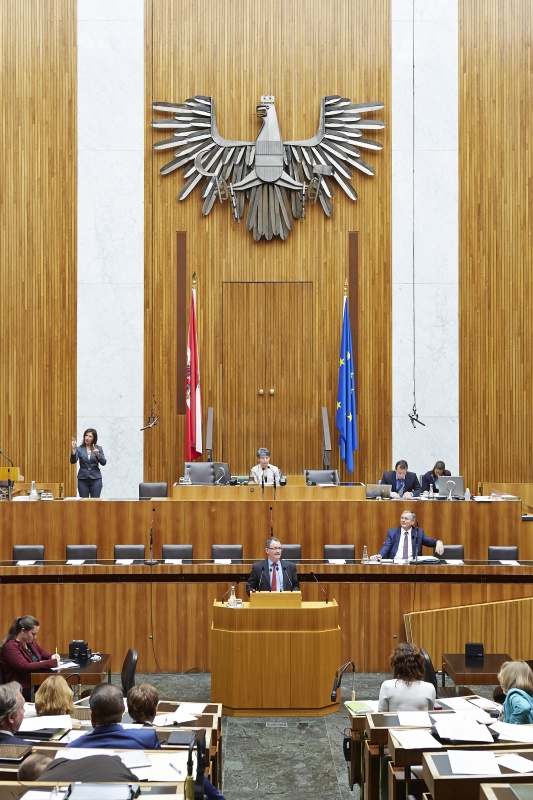 Nationalratsabgeordneter Georg Vetter am Rednerpult. Auf der Regierungsbank Gesundheitsminister Alois Stöger (V). Am Präsidium Nationalratspräsidentin Barbara Prammer (S).