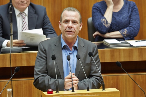 Nationalratsabgeordneter Harald Vilimsky (F) am Rednerpult