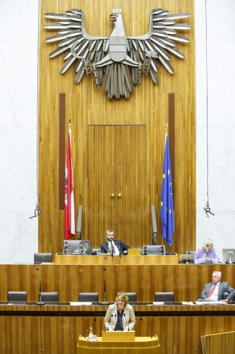 Nationalratsabgeordnete Dagmar Belakowitsch-Jenewein (F) am Rednerpult. Auf der Regierungsbank Sozialminister Rudolf Hundstorfer (S). Am Präsidium Dritter Nationalratspräsident Norbert Hofer (F)