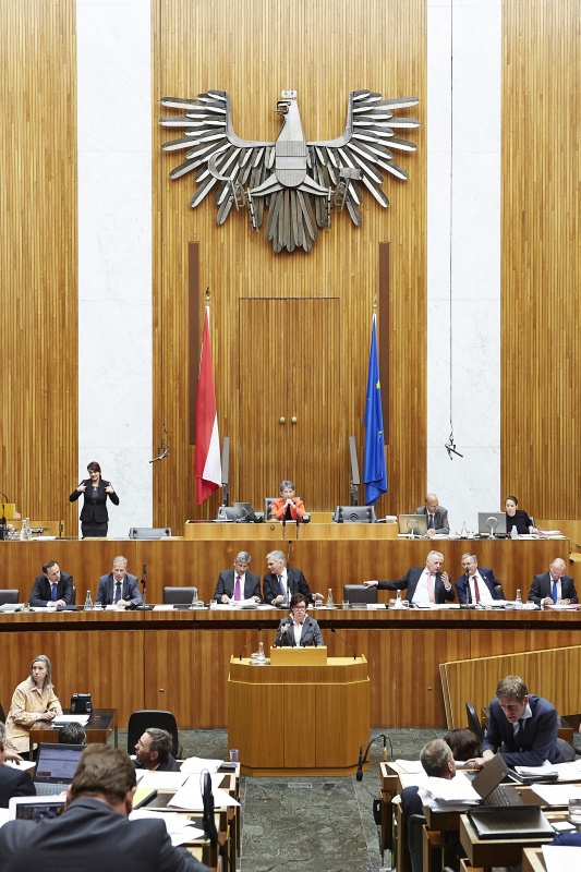 Nationalratsabgeordnete Gabriele Tamandl (V) am Rednerpult. Im Hintergrund auf der Regierungsbank Staatssekretär Jochen Danninger (V), Wirtschaftsminister Reinhold Mitterlehner (V), Finanzminister Michael Spindelegger (V), Bundeskanzler Werner Faymann (S), Sozialminister Rudolf Hundstorfer (S), Gesundheitsminister Alois Stöger (S) und Verteidigungsminister Gerald Klug (S). Am Präsidium Nationalratspräsidentin Barbara Prammer (S)