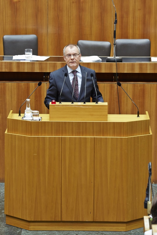 Nationalratsabgeordneter Harald Troch (S) am Rednerpult