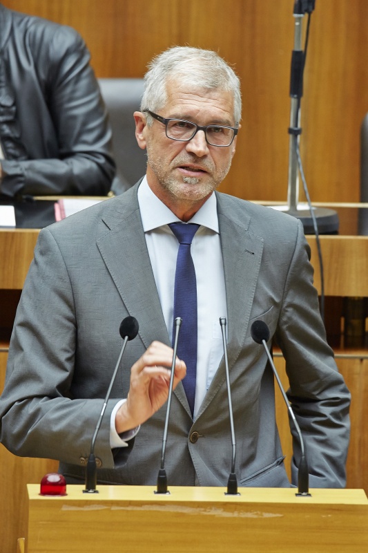 Nationalratsabgeordneter Harald Walser (G) am Rednerpult